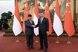 I presidenti di Indonesia e Cina